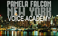 New York Voice Academy